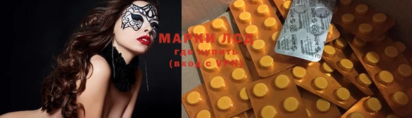МДПВ Липки