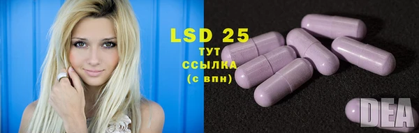 МДПВ Липки