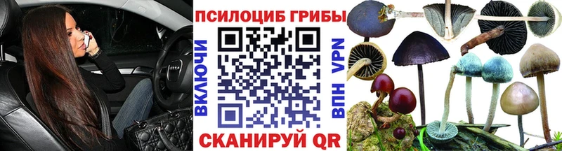 Галлюциногенные грибы Magic Shrooms  hydra ТОР  Талица  наркота 